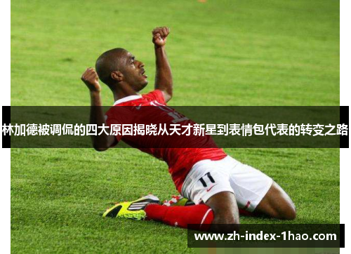 林加德被调侃的四大原因揭晓从天才新星到表情包代表的转变之路