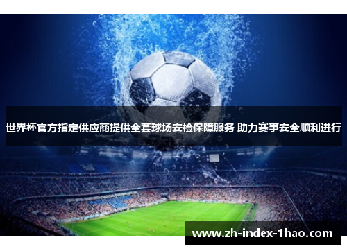 世界杯官方指定供应商提供全套球场安检保障服务 助力赛事安全顺利进行
